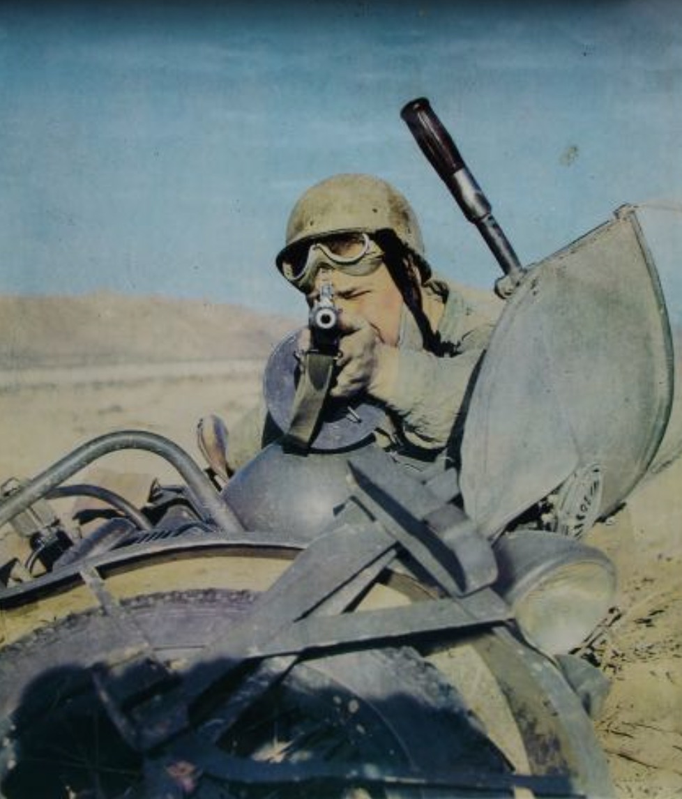 Terrifying the photographer.